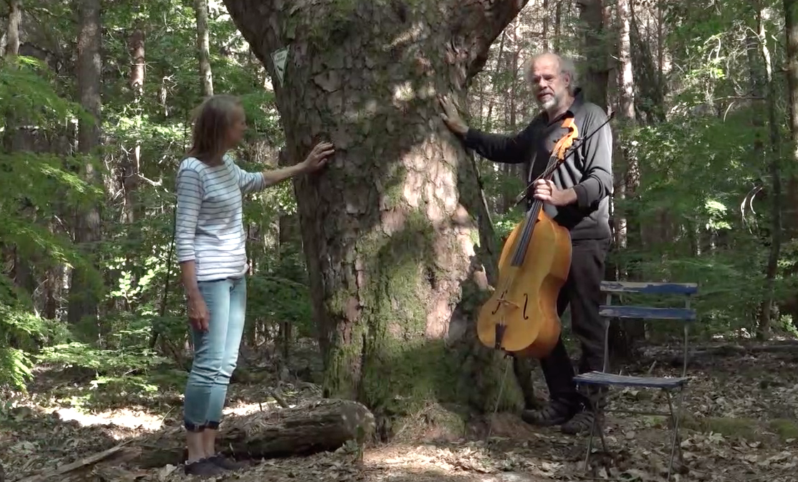 Waldmusik mit Priska Janssens und Cornelius hummel